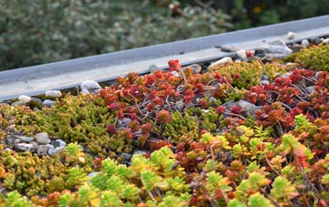 the cost of Tattingstone green roof installation