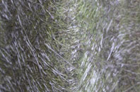 Tattingstone fibreglass roof work